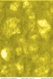 Shades of Yellow - A4 Paper #72