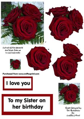 Happy Birthday Sister with a Red Rose
