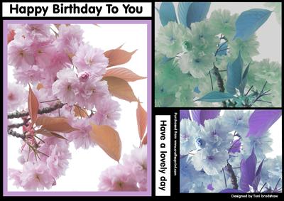 Blossom Birthday Wishes