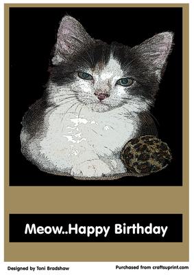 Meow- Happy Birthday