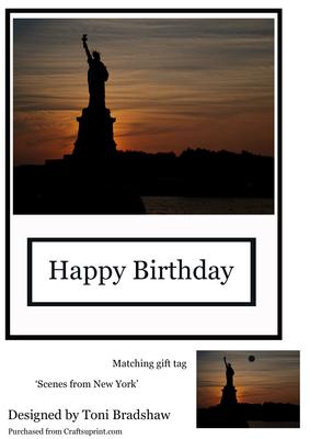 Scenes of New York-liberty Birthday