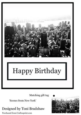 Scenes of New York-skyline Birthday