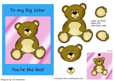 To My Big Sister Bear in Pink