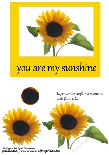 You are my sunshine