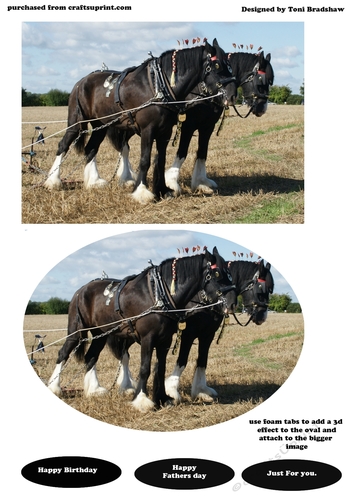 Heavy Horse just for him quick card