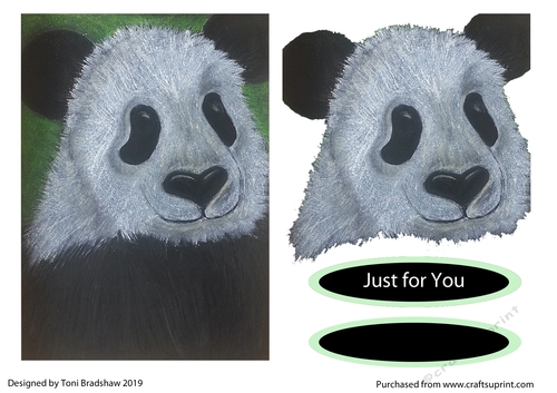Panda Just for you pastel pencil drawing