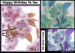 Blossom Birthday Wishes