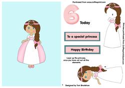Special Princess 6th Birthday in Pink