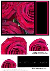 I Love You Red Rose Decoupage