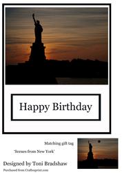 Scenes of New York-liberty Birthday