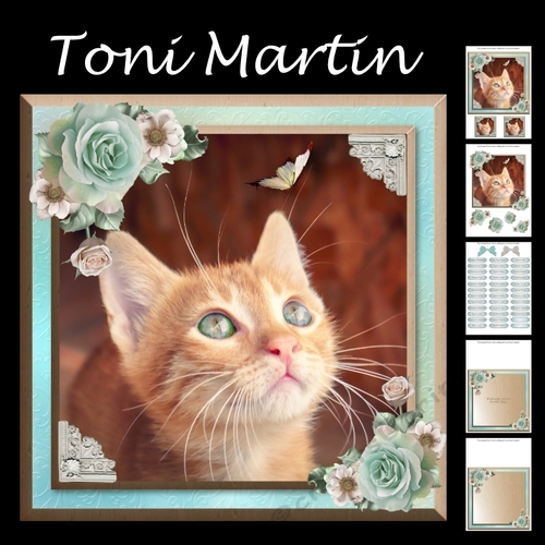 Kitten & butterfly card mini kit & decoupage