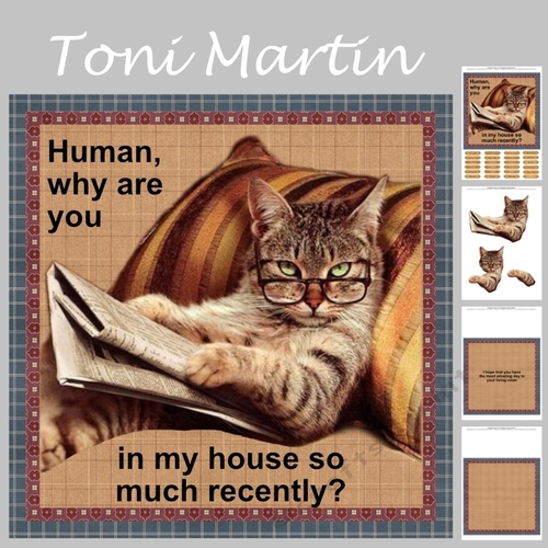 Human why are you in my house so much recently? 