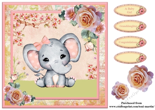New Baby Girl Card Topper & Decoupage