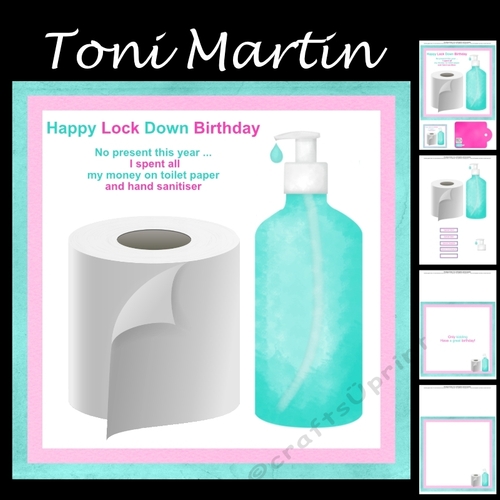 Lock down birthday humorous mini kit (Female)