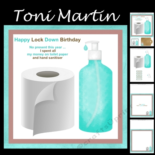 Lock down birthday humorous mini kit (Male)