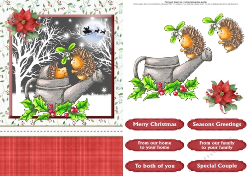Mistletoe kisses christmas card front & decoupage