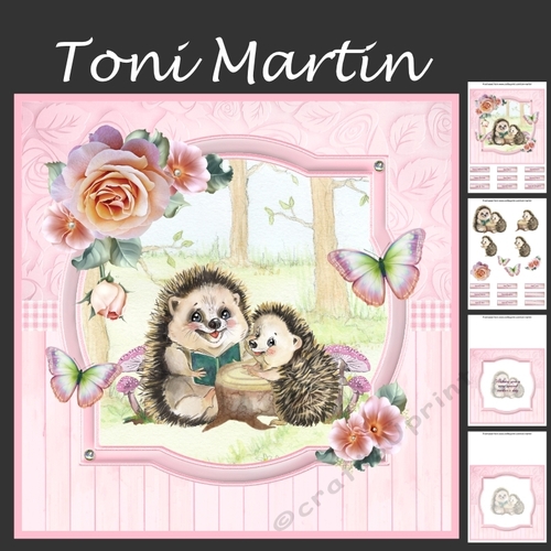 Mothers Day / Birthday - Hedgehogs Mini Kit & Decoupage