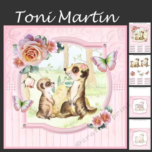 Mothers Day / Birthday - Meerkats Mini Kit & Decoupage