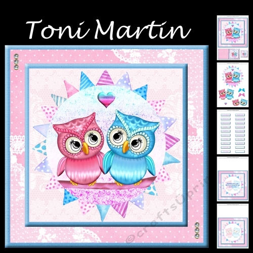 Love Owlays Decoupage Mini Kit