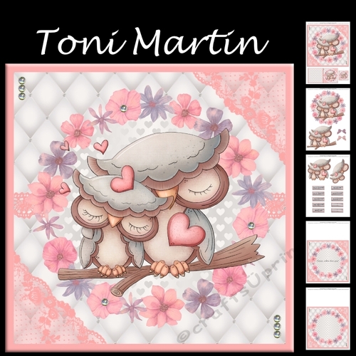 Owl Couple Decoupage Mini Kit