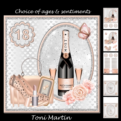 Champagne card mini kit & decoupage