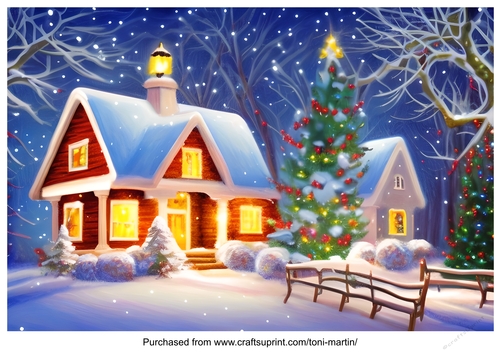 Snow Scene 6