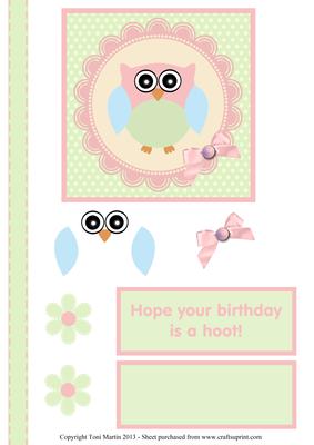 Hope Your Birthday is a Hoot Owl Decoupage Card