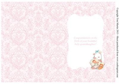 Vintage Baby Girl Granddaughter Card Insert