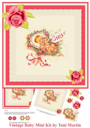 Vintage Baby Girl Mini Kit