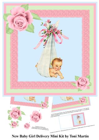 New Baby Girl Delivery Mini Kit