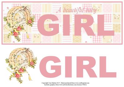 New Baby Girl Large Dl Topper & Decoupage