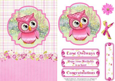 Cute Owl Card Topper & Decoupage