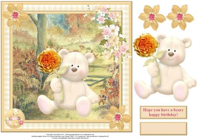 Hope You Have a Beary Happy Birthday Card Topper & Decoupage