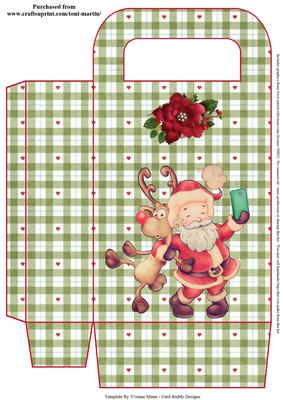 Santa Selfie Christmas Gift Bag