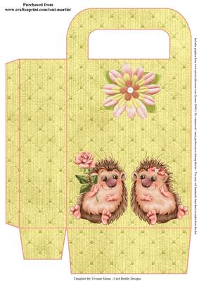 Hedgehog Love Gift Bag