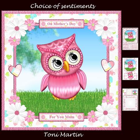 Pink Owl Card 8x8 Card Mini Kit & Decoupage