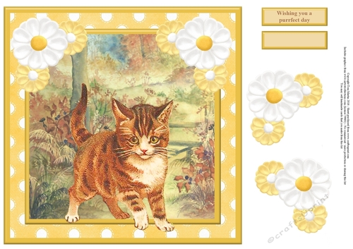Wishing you a purrfect day card topper & decoupage
