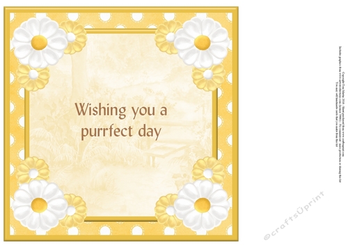 Wishing you a purrfect day card insert