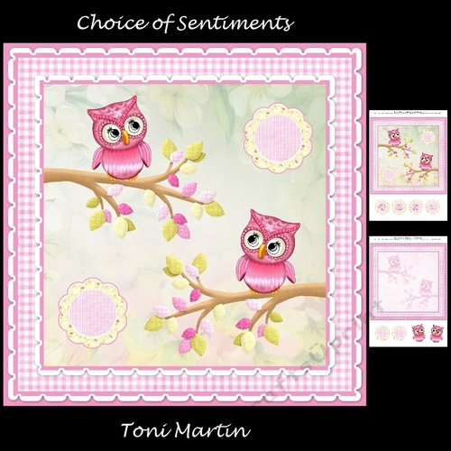Sweet owls - hope your birthday is a hoot - card mini kit & decoupage