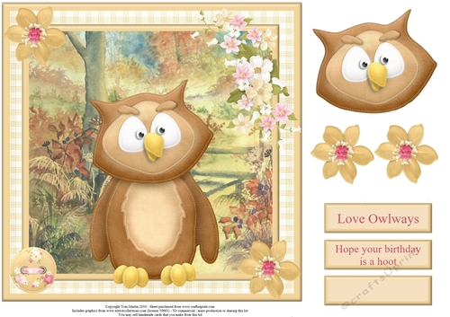 Love owlways card topper & decoupage