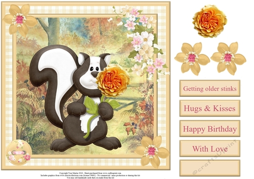 Getting older stinks - humorous skunk card topper & decoupage