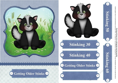 Getting older stinks - skunk card topper & decoupage - choice of ages