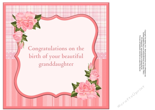 New Baby Granddaughter Card Insert