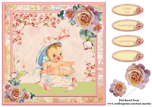 New Baby Girl Card Topper & Decoupage