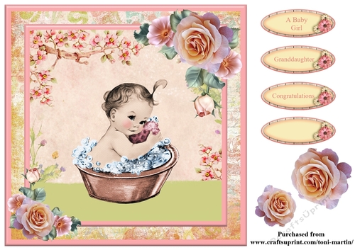 New Baby Girl Card Topper & Decoupage