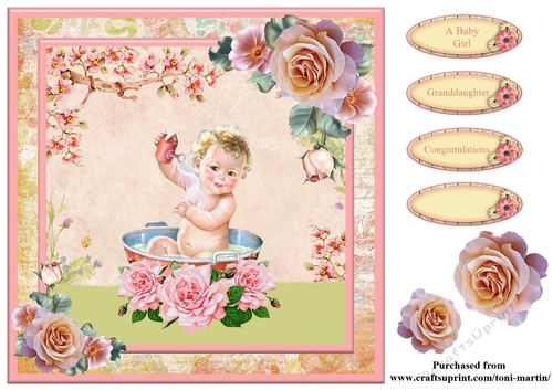New Baby Girl Card Topper & Decoupage