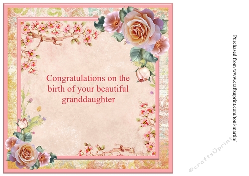New Baby Granddaughter Card Insert