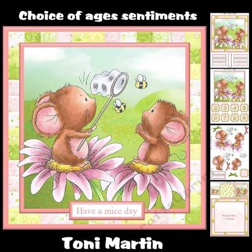 Bee Mine / Sweet Mice - Female Birthday / Birthday Ages Kids / Valentines 
