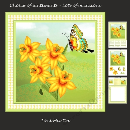 Daffodils & Butterfly Card Mini Kit & Decoupage