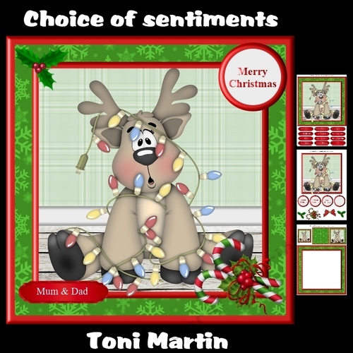 Christmas Reindeer Lights Mini Kit